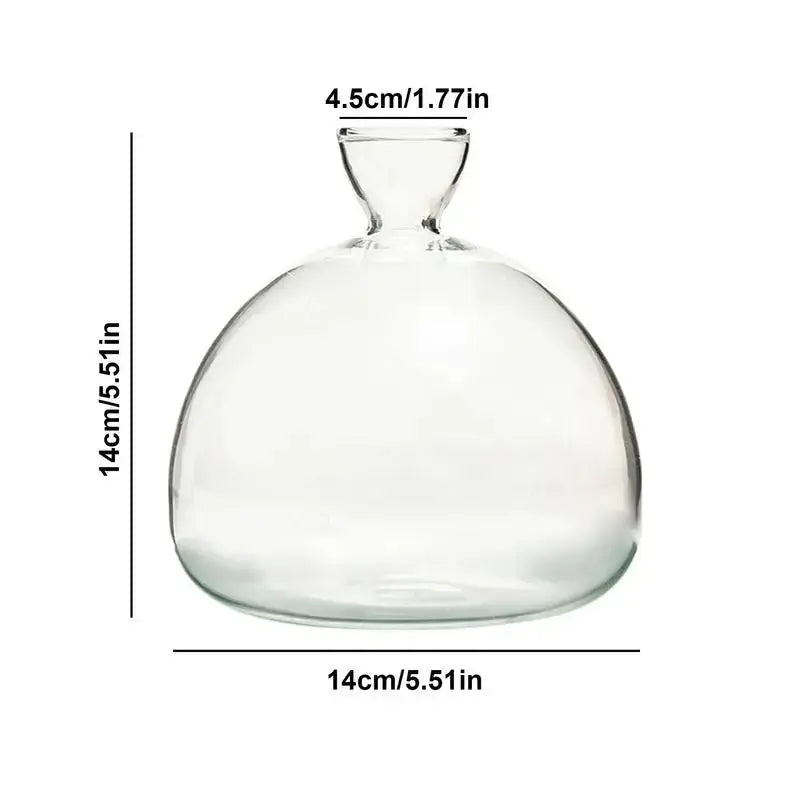 Avocado Seed Starter Vase Transparent Glass Vase Vase for Growing Plant Glass Seed Growing Kit for Gardening Lovers