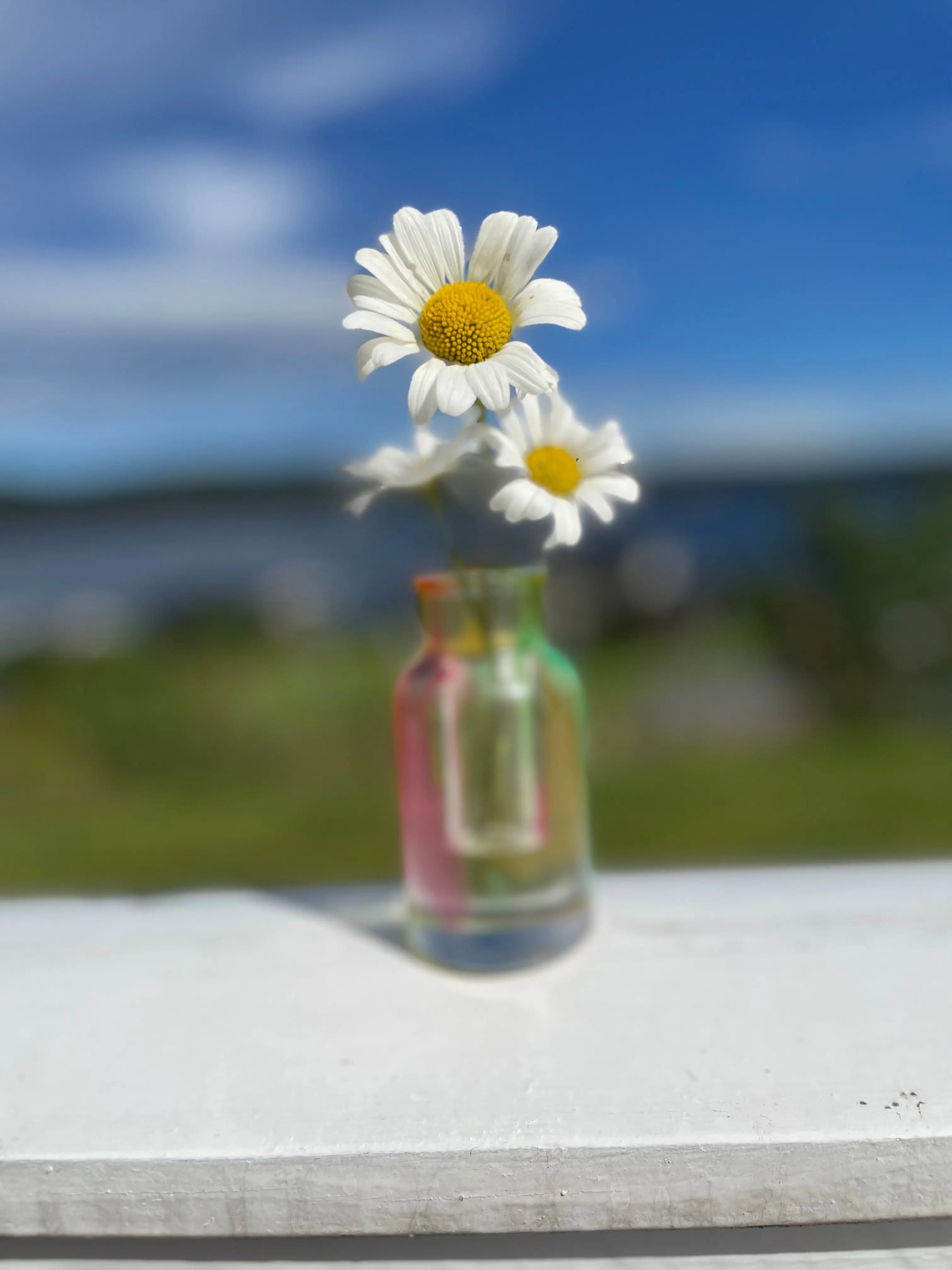 Exclusive 3-Piece set in epoxy: Vase, jar and oval tray. Epoxy-Crafts